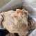 全熟猪龟腱纯干货五香味不注水不加粉