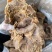 全熟猪龟腱纯干货五香味不注水不加粉