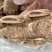 【熟牛肉】全熟牛排骨多肉五香味纯干货商用包装整箱批发