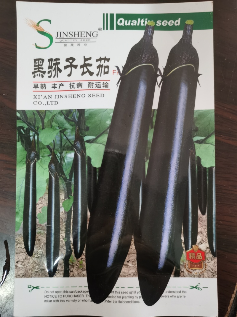 春秋长茄鸿运早茄越豪919系列紫茄子品种