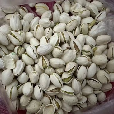 开心果原产地直发一件代发新货质量好