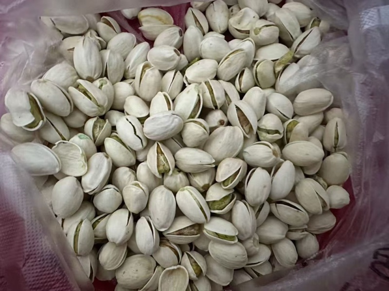 开心果原产地直发一件代发新货质量好
