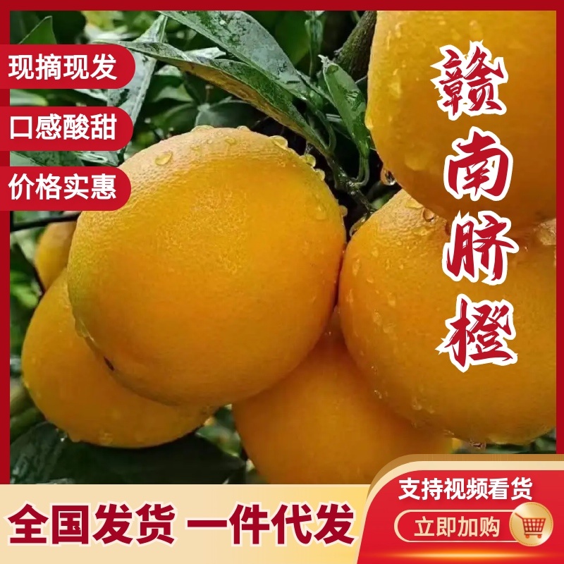 橙子、脐橙、赣南脐橙，一件代发，酸甜可口，部分省份包邮