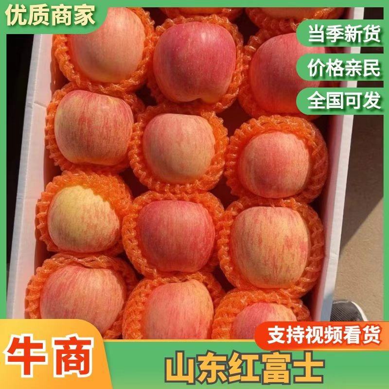 【店主推荐】山东正宗红富士苹果产地，一手货源，随到随装