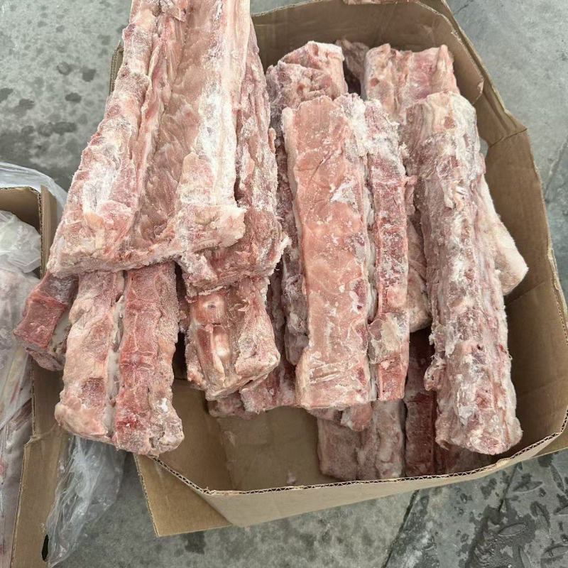 庞宝猪脊骨