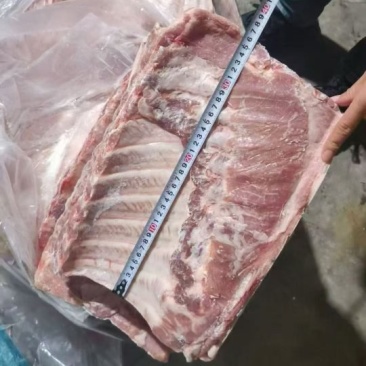 带皮带泪肋中方