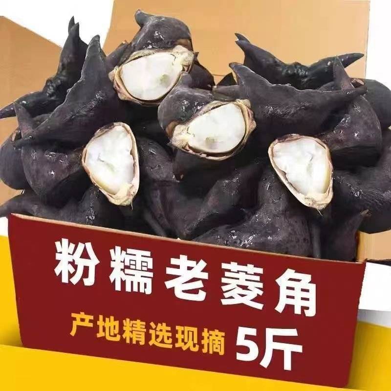 包邮）湖北菱角现摘特大粉糯老菱角洪湖凌角带壳新鲜整箱批发