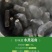 包邮）湖北菱角现摘特大粉糯老菱角洪湖凌角带壳新鲜整箱批发