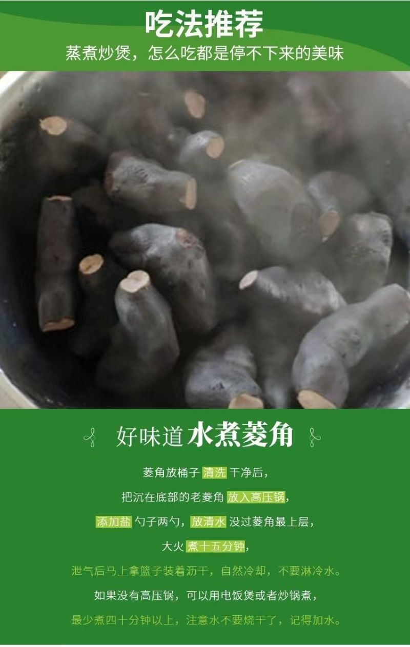 包邮）湖北菱角现摘特大粉糯老菱角洪湖凌角带壳新鲜整箱批发