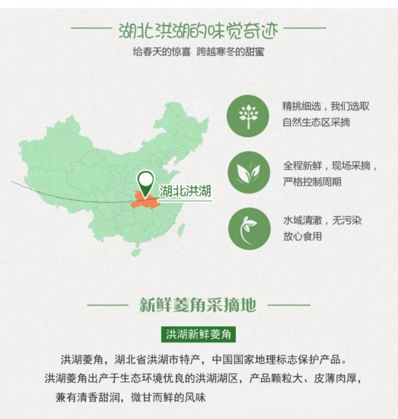 包邮）湖北菱角现摘特大粉糯老菱角洪湖凌角带壳新鲜整箱批发