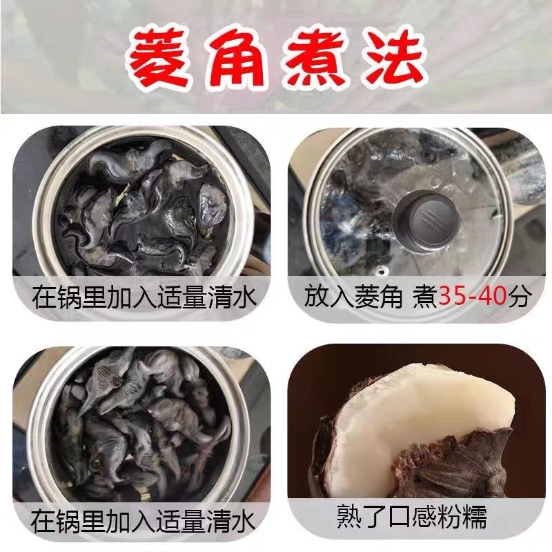 包邮）湖北菱角现摘特大粉糯老菱角洪湖凌角带壳新鲜整箱批发