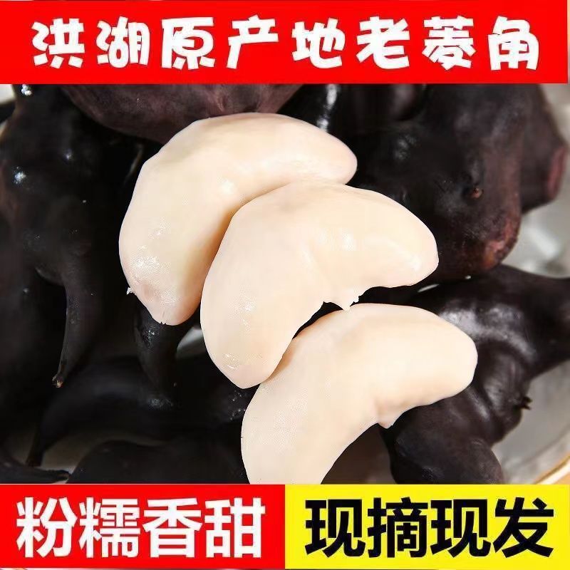 包邮）湖北菱角现摘特大粉糯老菱角洪湖凌角带壳新鲜整箱批发