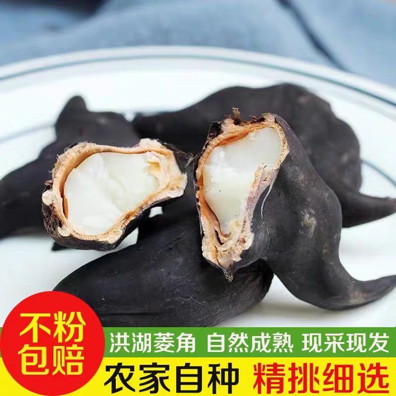 包邮）湖北菱角现摘特大粉糯老菱角洪湖凌角带壳新鲜整箱批发