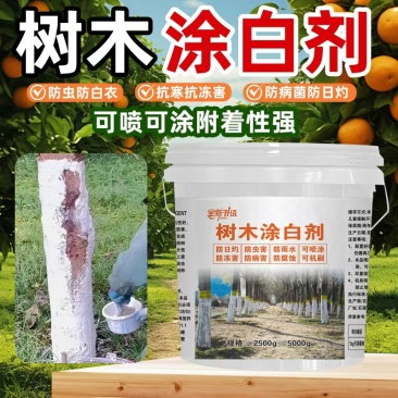 大树涂白剂果树园林绿化都可用防晒防啃咬防虫防菌
