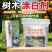 大树涂白剂果树园林绿化都可用防晒防啃咬防虫防菌