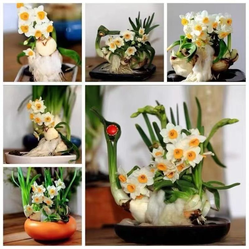 水仙花雕刻