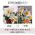 雕刻水仙花
