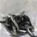 生鱼黑鱼苗正交纯种台弯杂交快大花班
