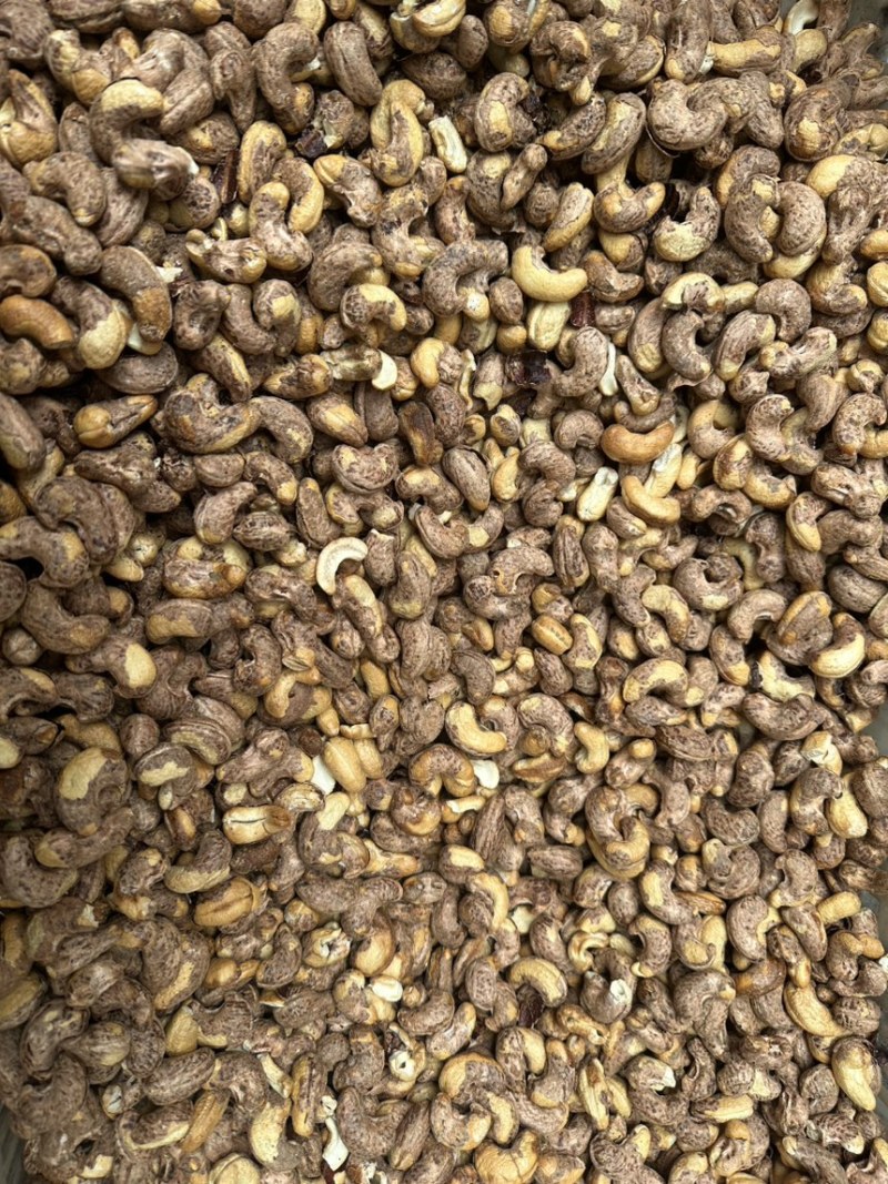 紫衣腰果大量有货2025年新货