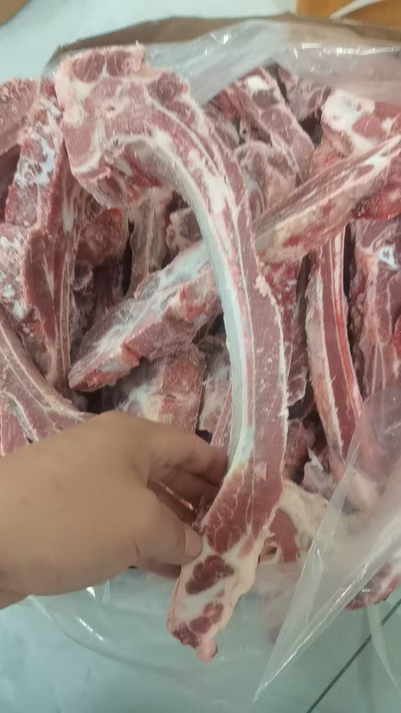 前排条