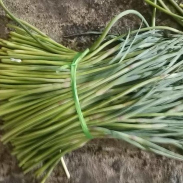 山东精品蒜苔产地直发可批发可一件代发