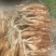桂林葛根种植基地对接批发市场采购电商等