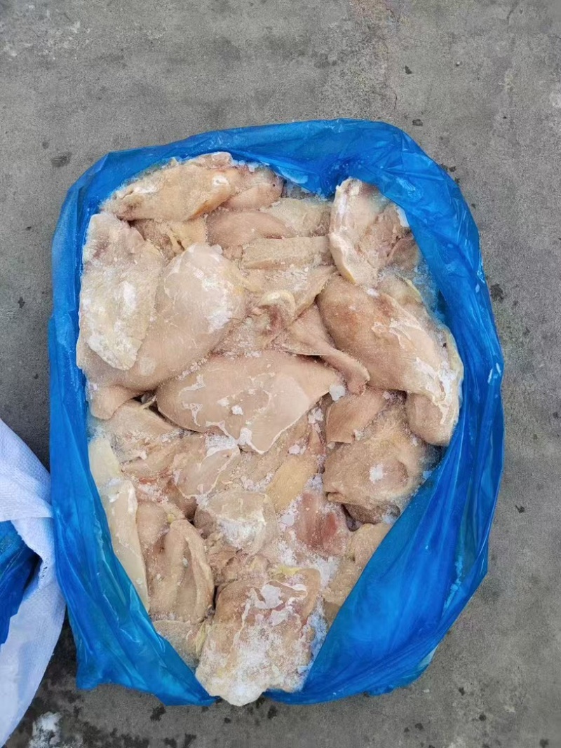 种鸡大胸10×2
