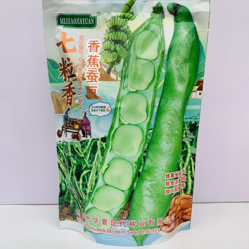 七粒香蚕豆种子大粒高产胡豆种子七粒香蚕豆种籽甜糯