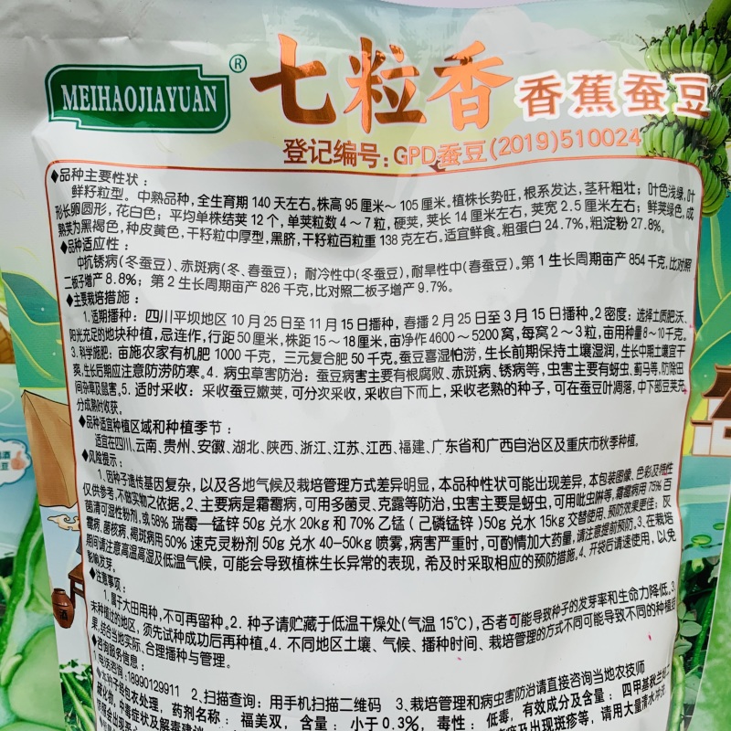 七粒香蚕豆种子大粒高产胡豆种子七粒香蚕豆种籽甜糯