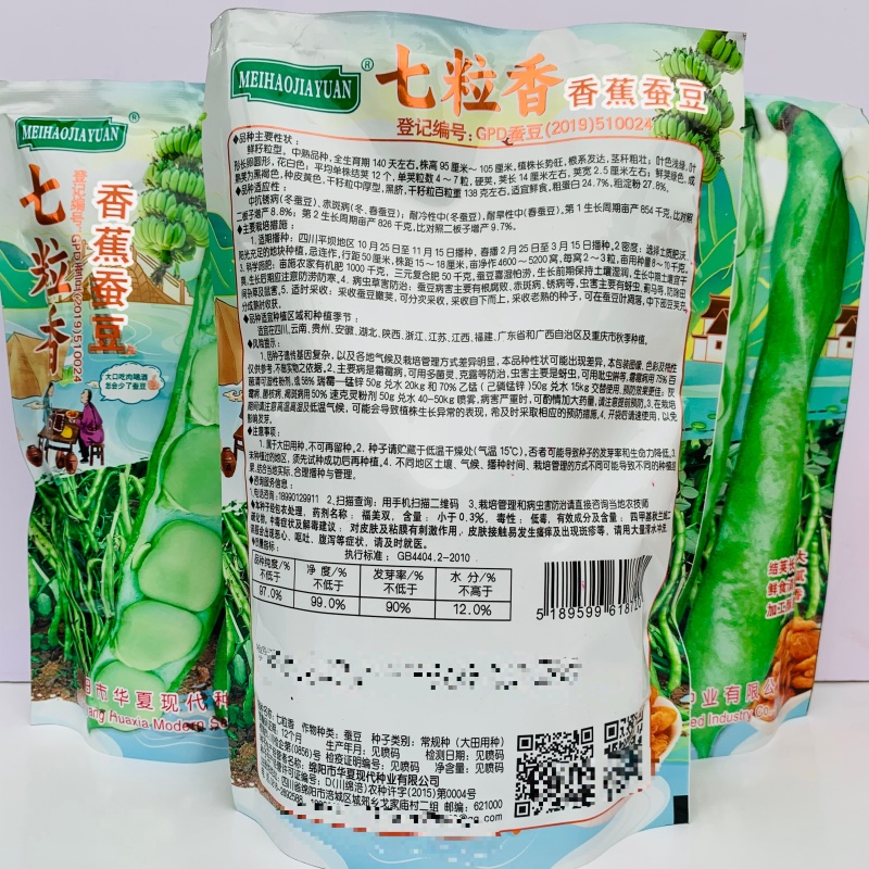 七粒香蚕豆种子大粒高产胡豆种子七粒香蚕豆种籽甜糯