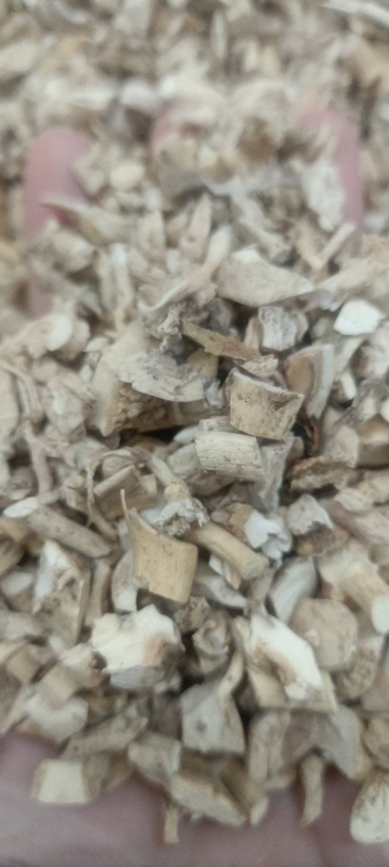 白鲜皮