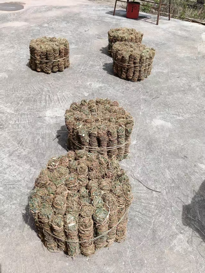 鸡骨草\野生鸡骨草\广东云浮直发\大量有货\对接全国采购