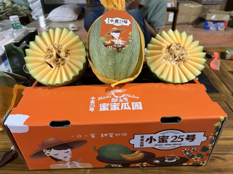 山东哈密瓜小蜜25号量大从优一手货源对接全国市场