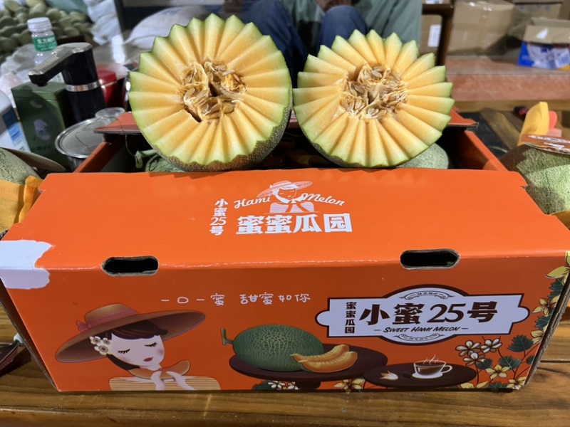 山东哈密瓜小蜜25号量大从优一手货源对接全国市场