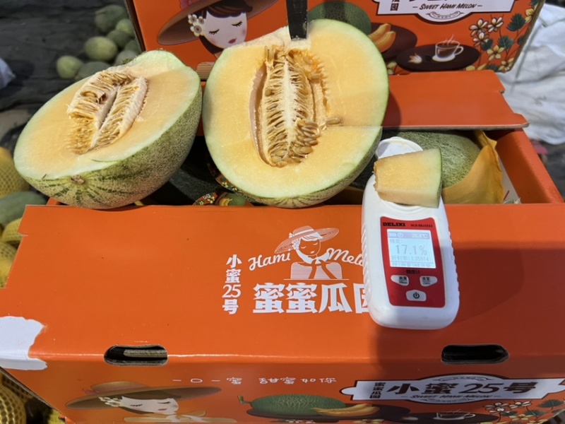 山东哈密瓜小蜜25号量大从优一手货源对接全国市场