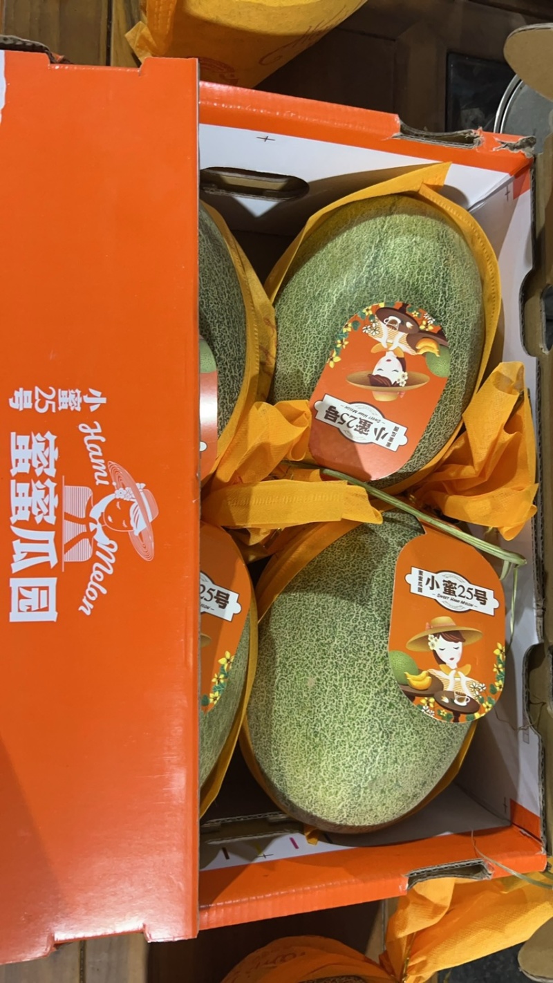 山东哈密瓜小蜜25号量大从优一手货源对接全国市场