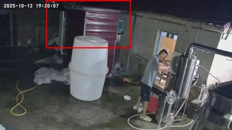 粮食加工酒自酿白酒纯粮食酒发货迅速包邮欢迎电联