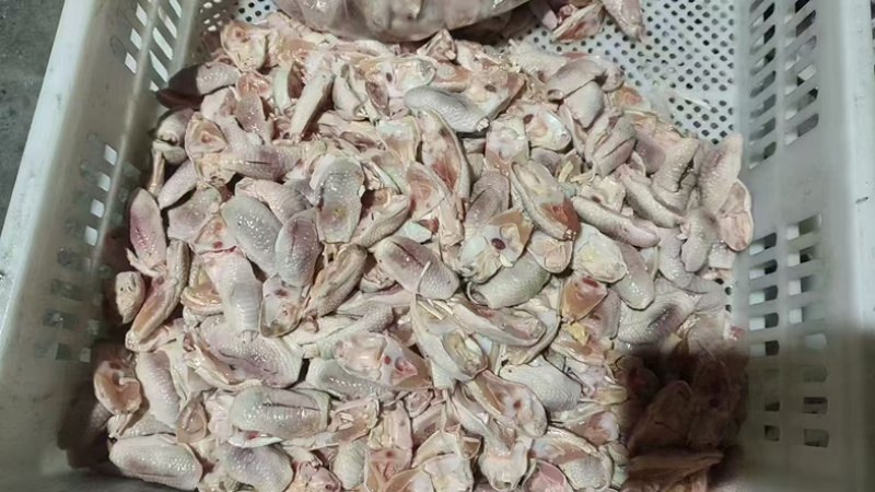 二级鸡脚筋，都是直切精品，现货15吨工厂直发
