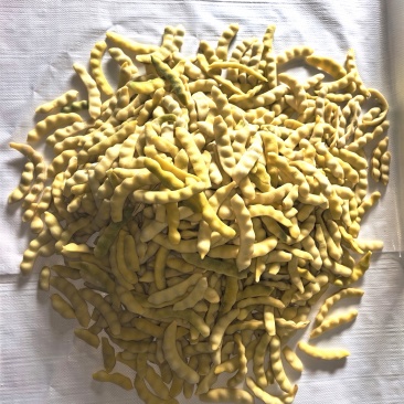 速冻黄豆角