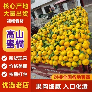 蜜橘汉中蜜橘高山蜜橘陕西蜜橘产地发货全国供货