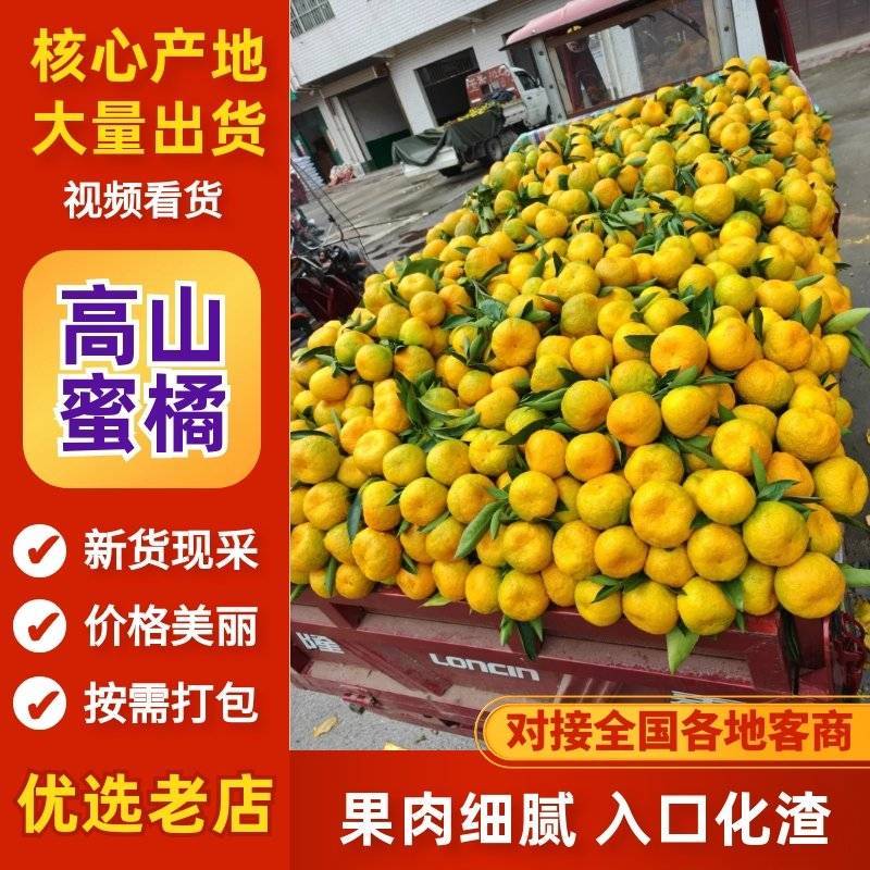 蜜橘汉中蜜橘高山蜜橘陕西蜜橘产地发货全国供货