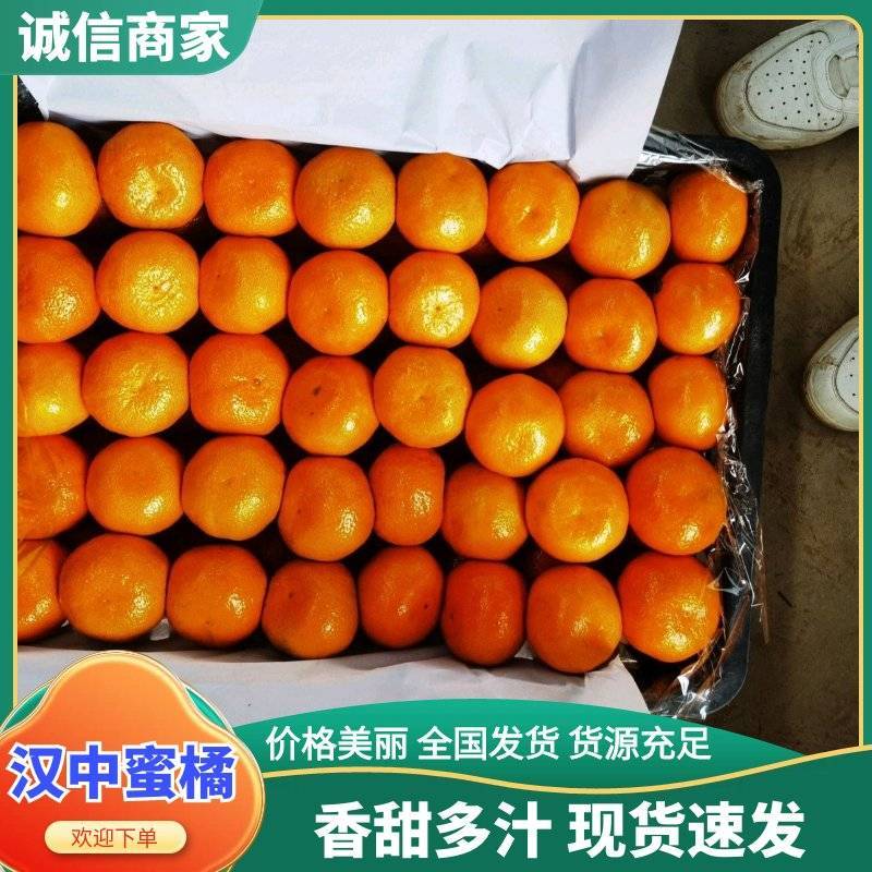 高山蜜橘，小叶橘，皮毛光滑，甘甜可口，规格齐全