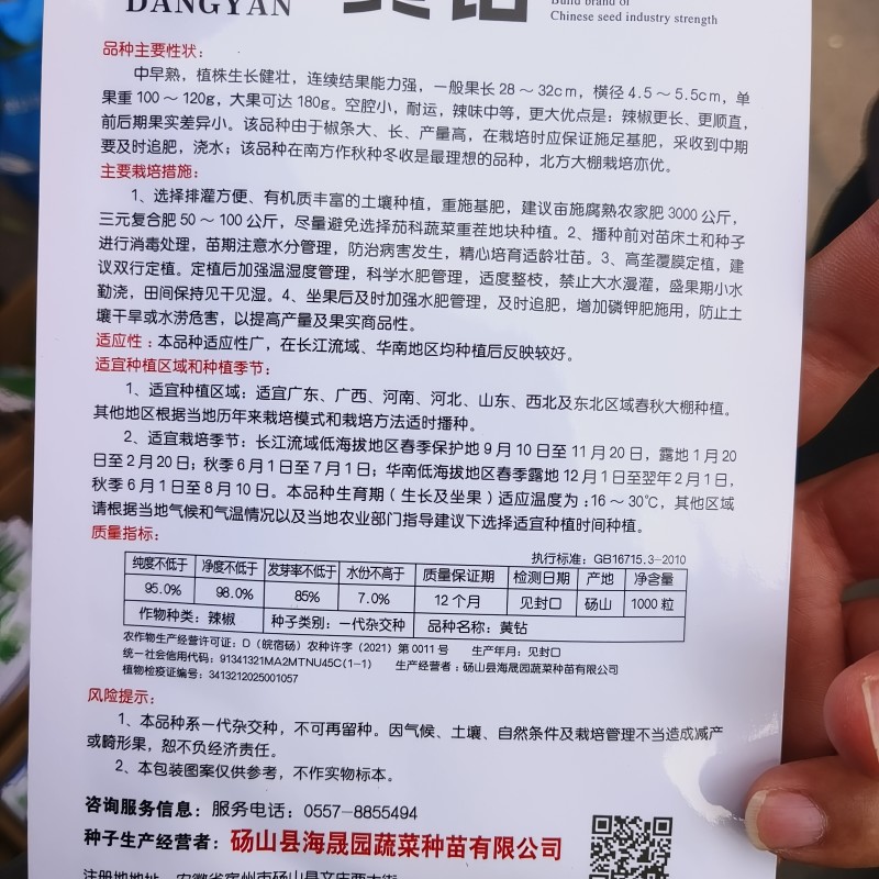 黄大果型杂交品种顺直采收期长口感好口感无渣中早熟
