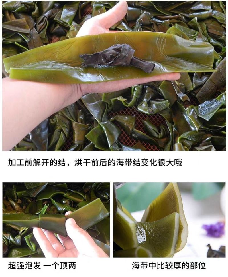 福建干海带结福建特产海带结干货无沙免洗，新鲜通用煲汤