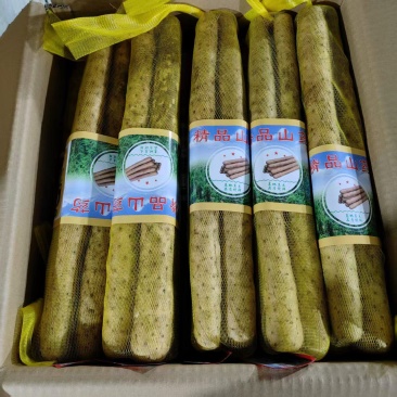 水洗双棒山药精品网袋双棒山药河北山药大量供应可视频看