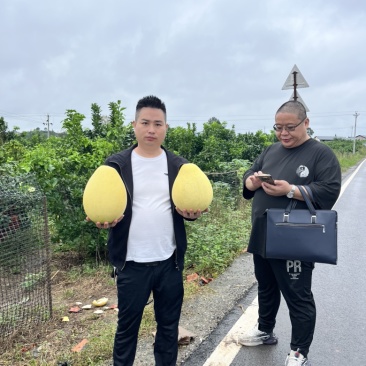 四川广安岳池县万亩密柚基地