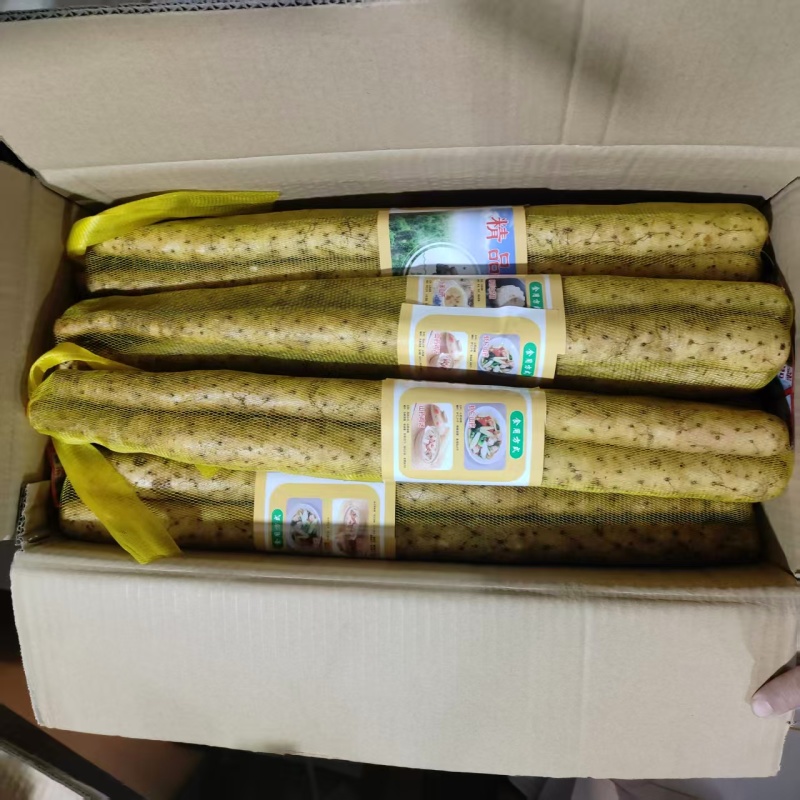 水洗双棒山药精品网袋双棒山药河北山药大量供应可视频看