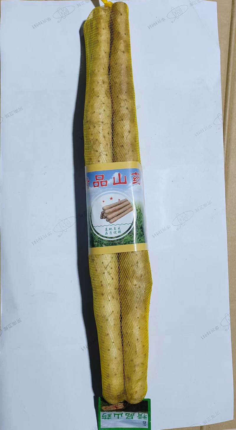 水洗双棒山药精品网袋双棒山药河北山药大量供应可视频看