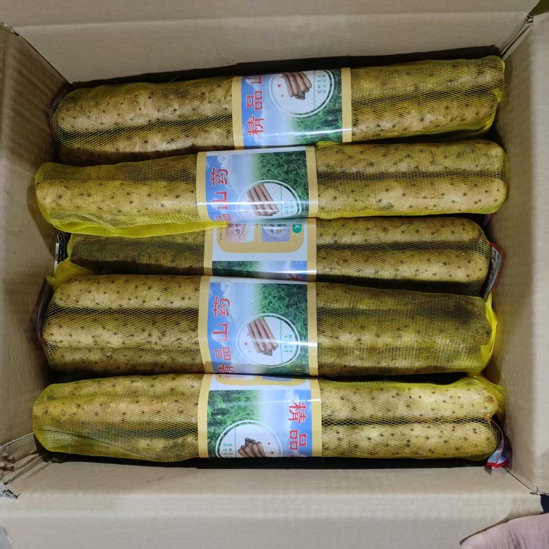 水洗双棒山药精品网袋双棒山药河北山药大量供应可视频看