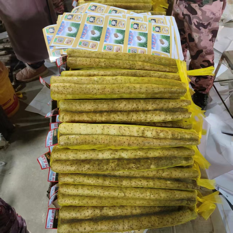水洗双棒山药精品网袋双棒山药河北山药大量供应可视频看